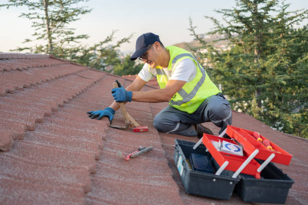 Best Roof Waterproofing Services  in Hinton, OK